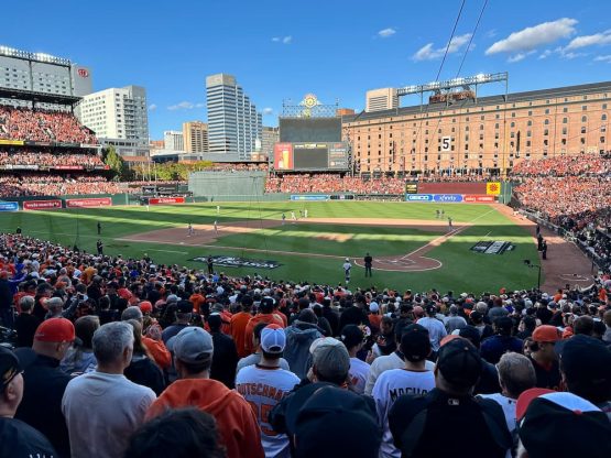 New Chicago White Sox Ballpark: White Sox Planning for New Ballpark in the South Loop