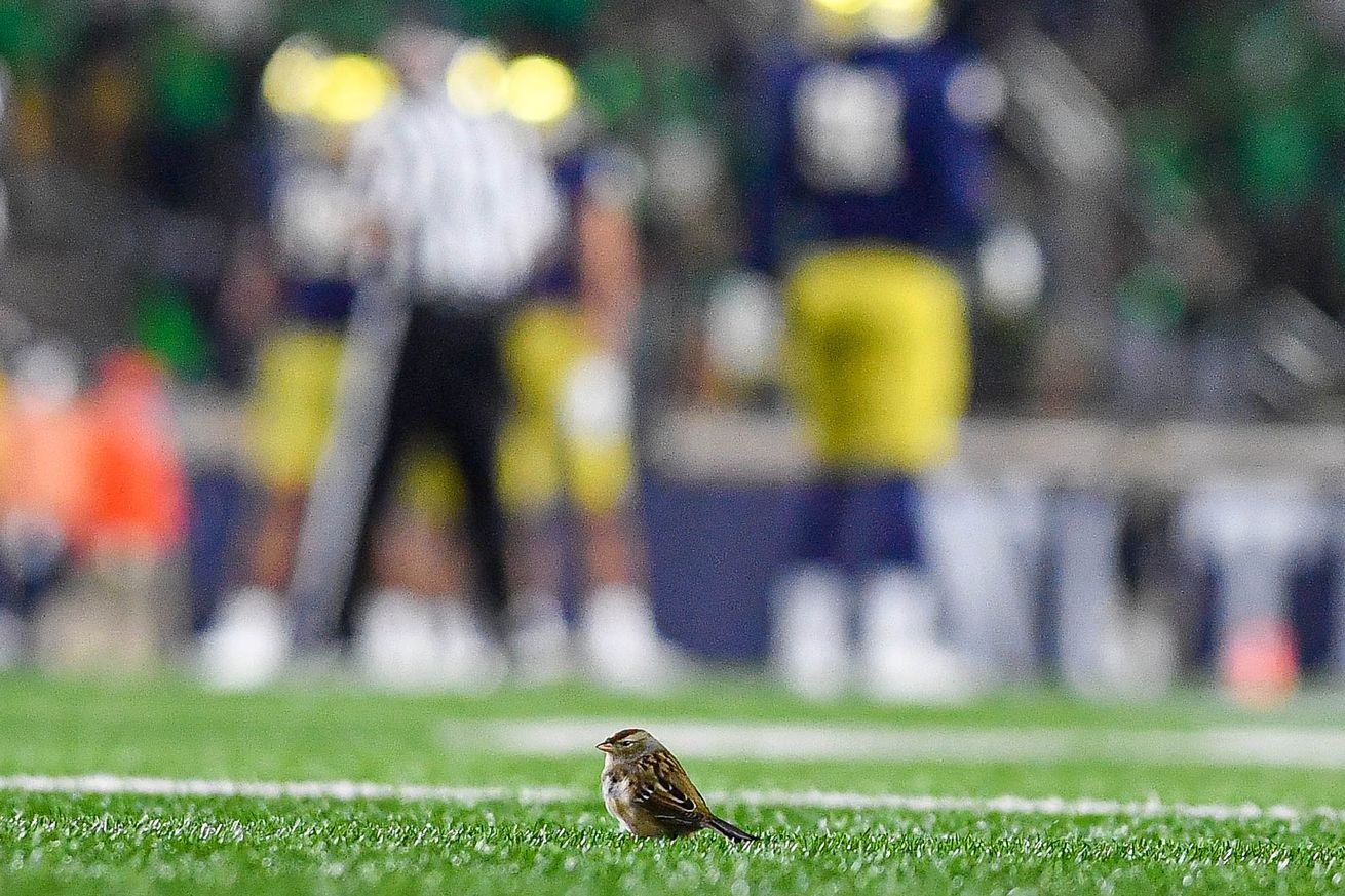 Clemson v Notre Dame