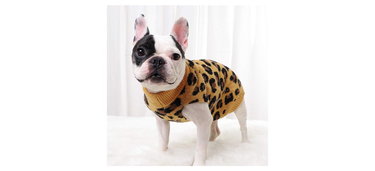 Pasrld Leopard Dog Knitwear Turtleneck