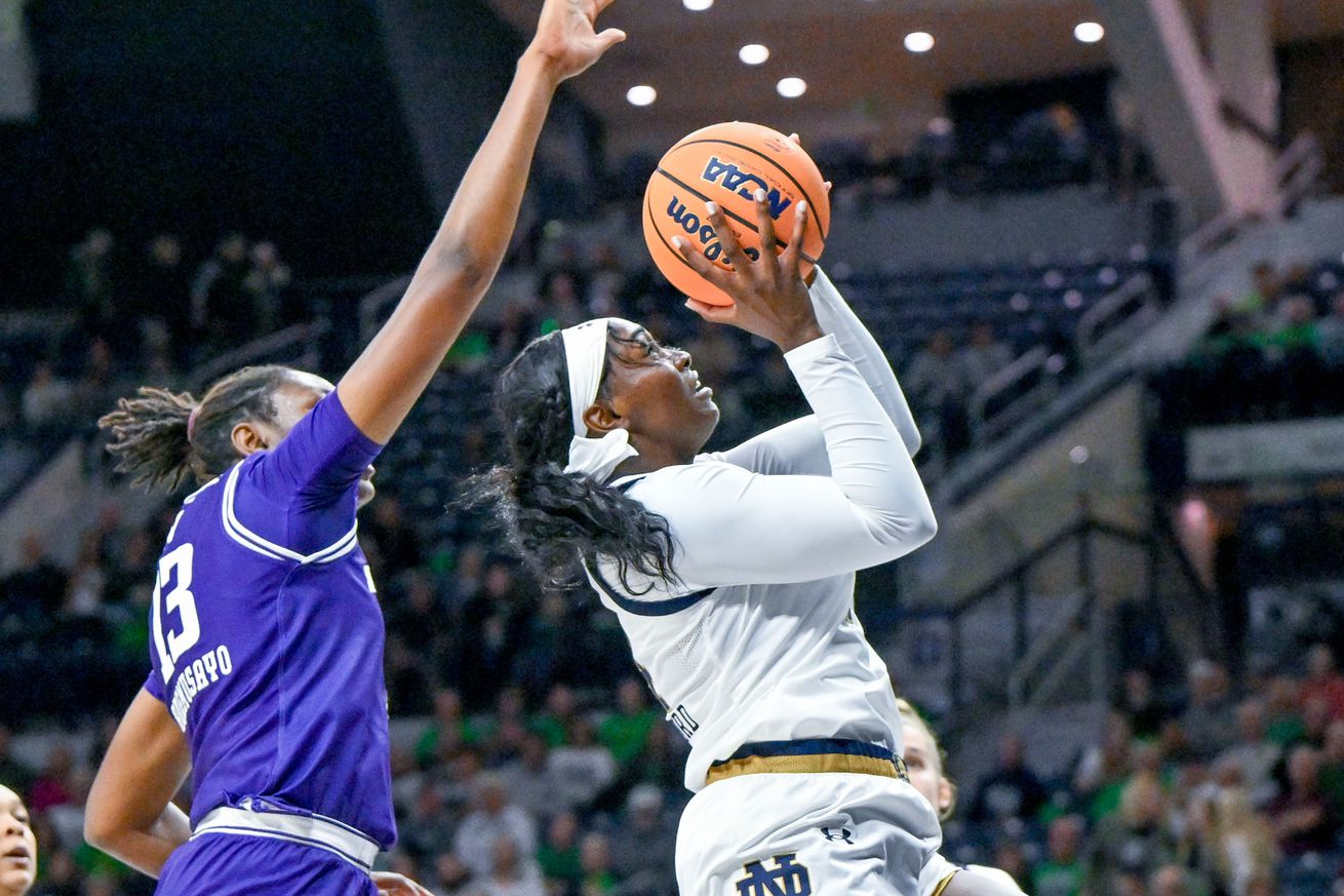 NCAA Womens Basketball: Northwestern at Notre Dame