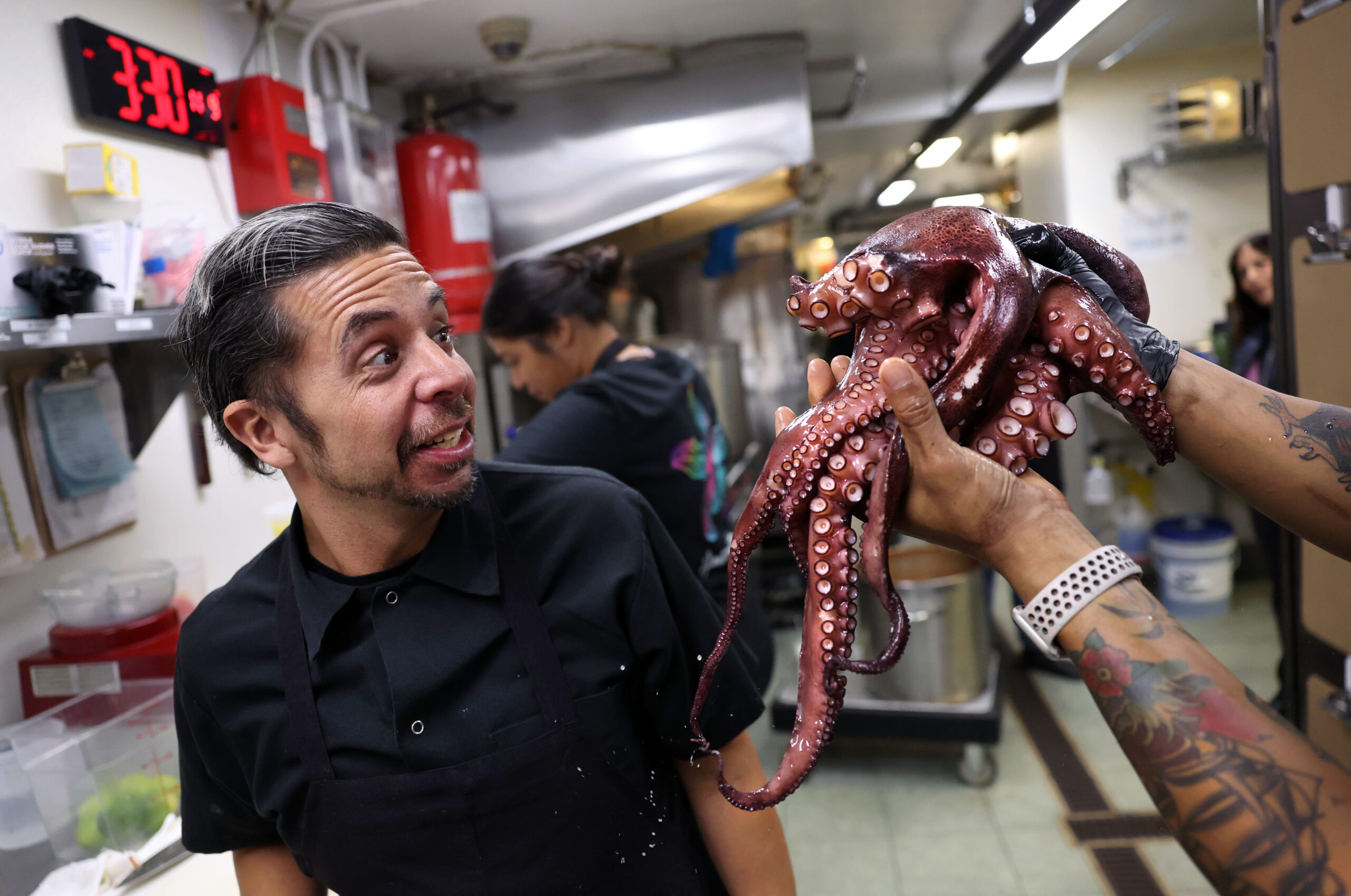 Alex Martinez says hello to an octopus while prepping in...