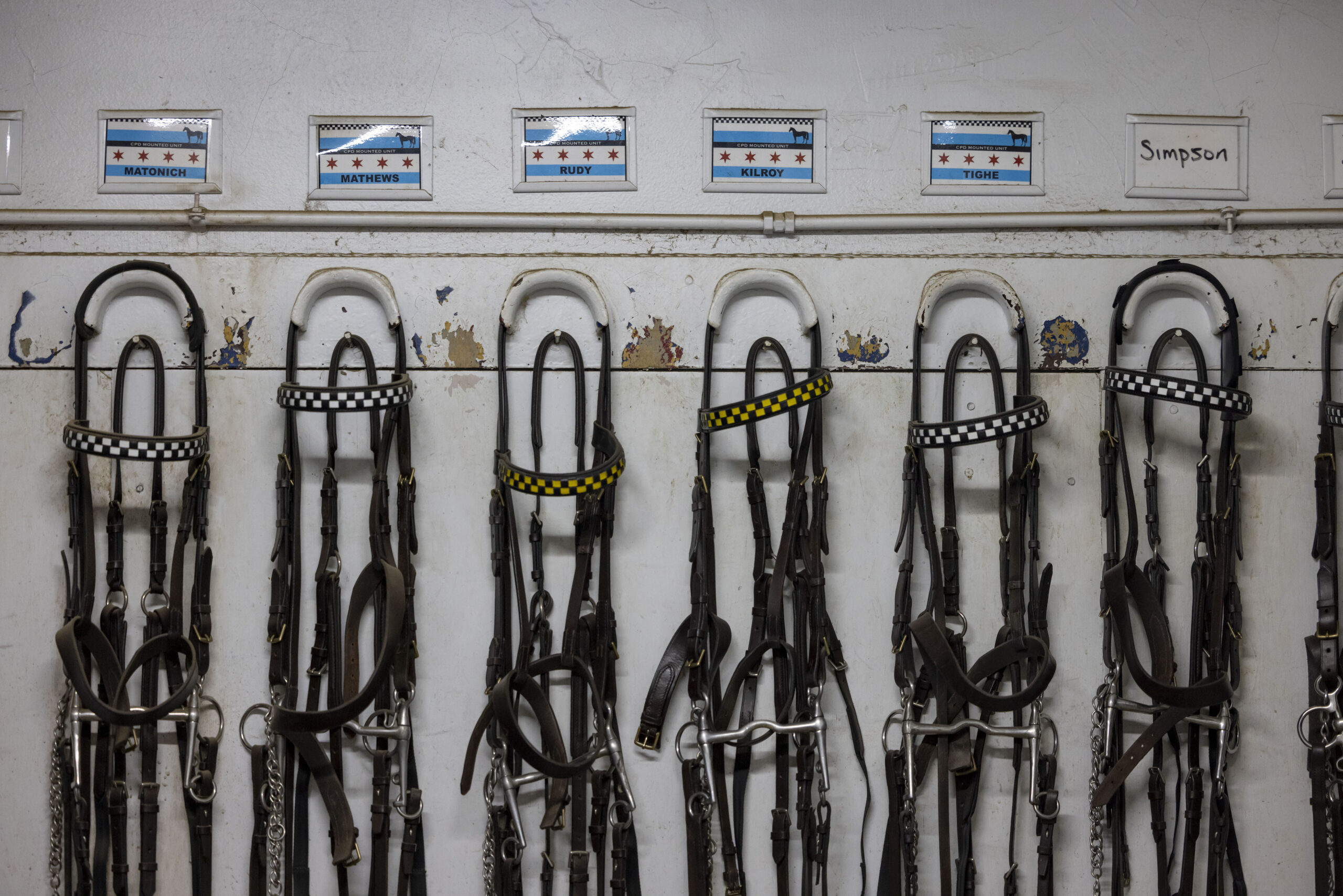 Horse bridles are stored under their nametags in the Chicago...