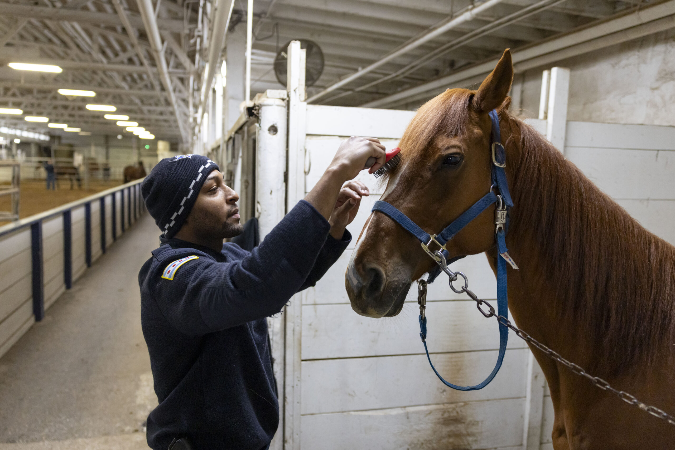 Officer Tywaine Robertson brushes one of the newer horses Feb....