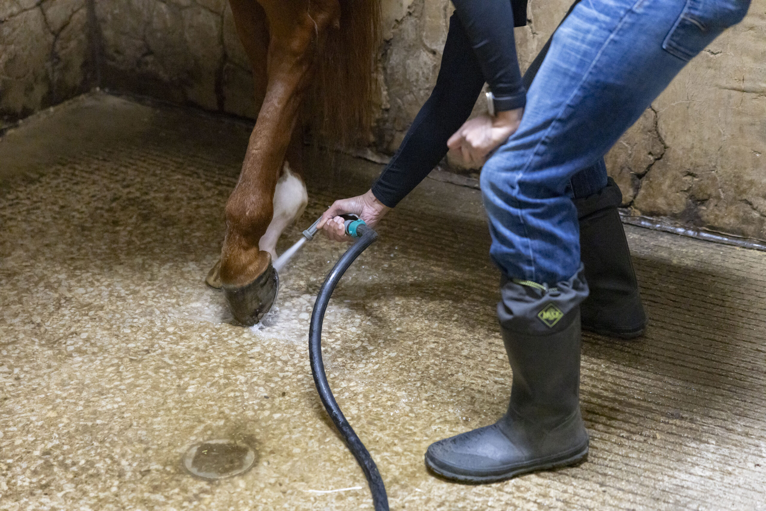 Officer Syed Kazmi washes the hoof of a horse Feb....