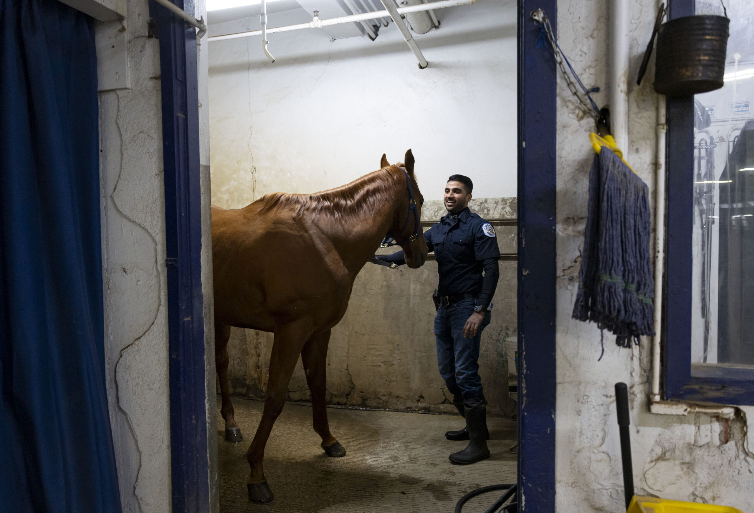 Officer Syed Kazmi washes a horse on Feb. 6, 2025,...