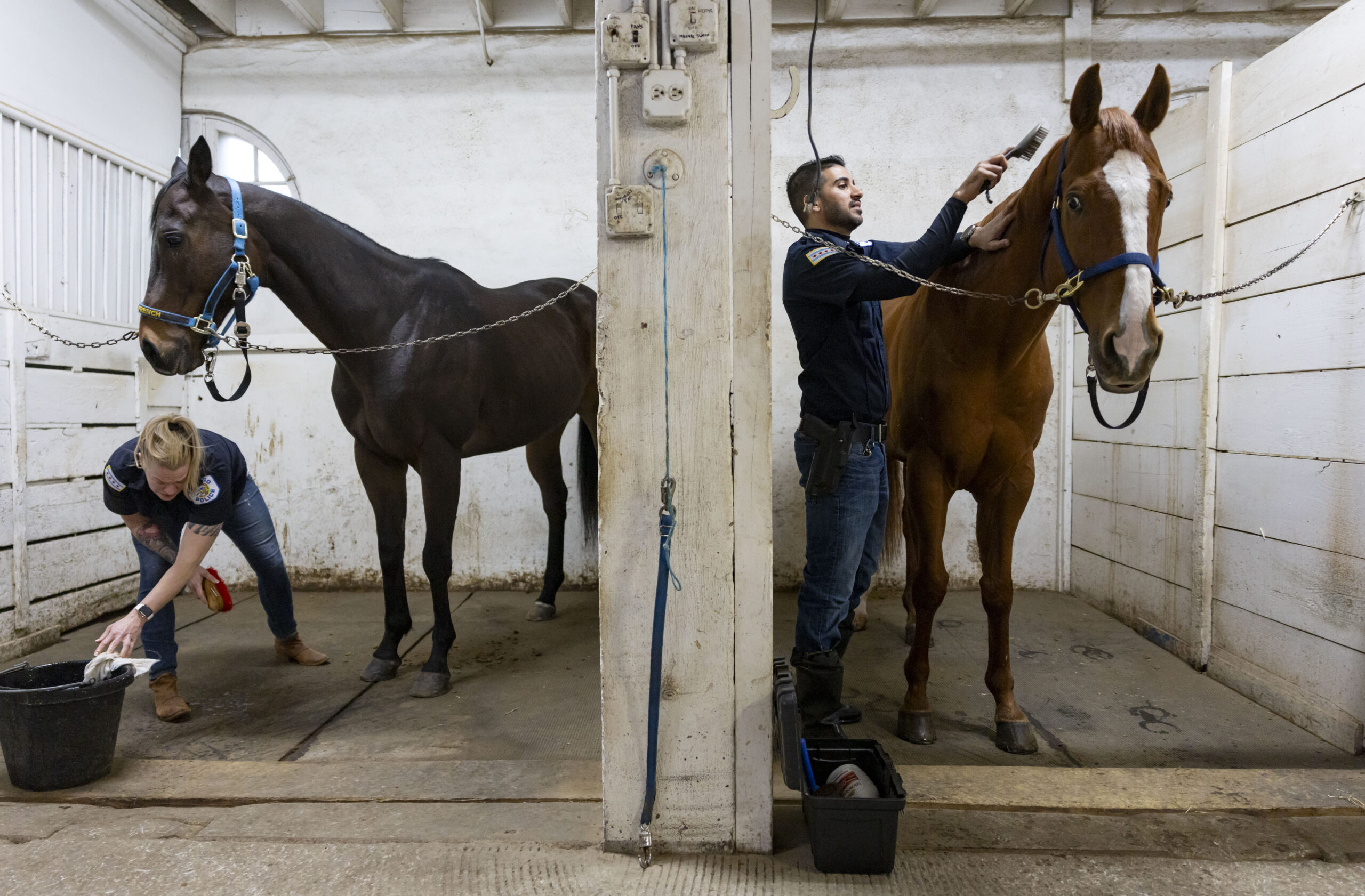 Officers Maria Kuc and Syed Kazmi wash and brush horses...