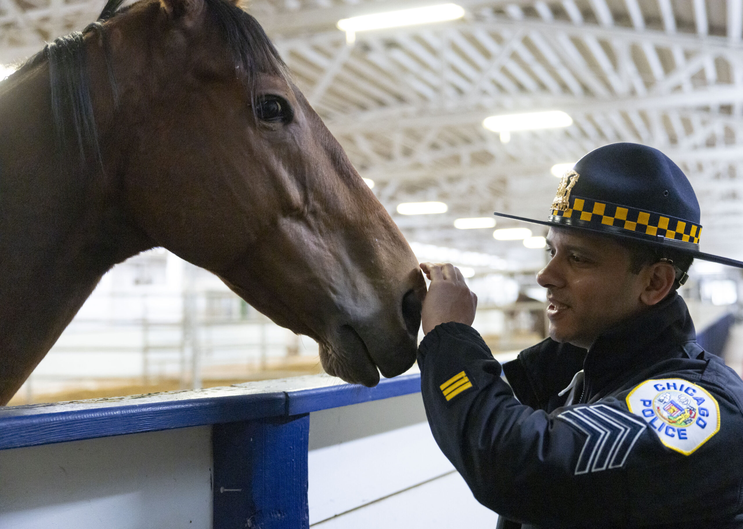 Sgt. Rishi Desai pets a newer horse Feb. 6, 2025,...