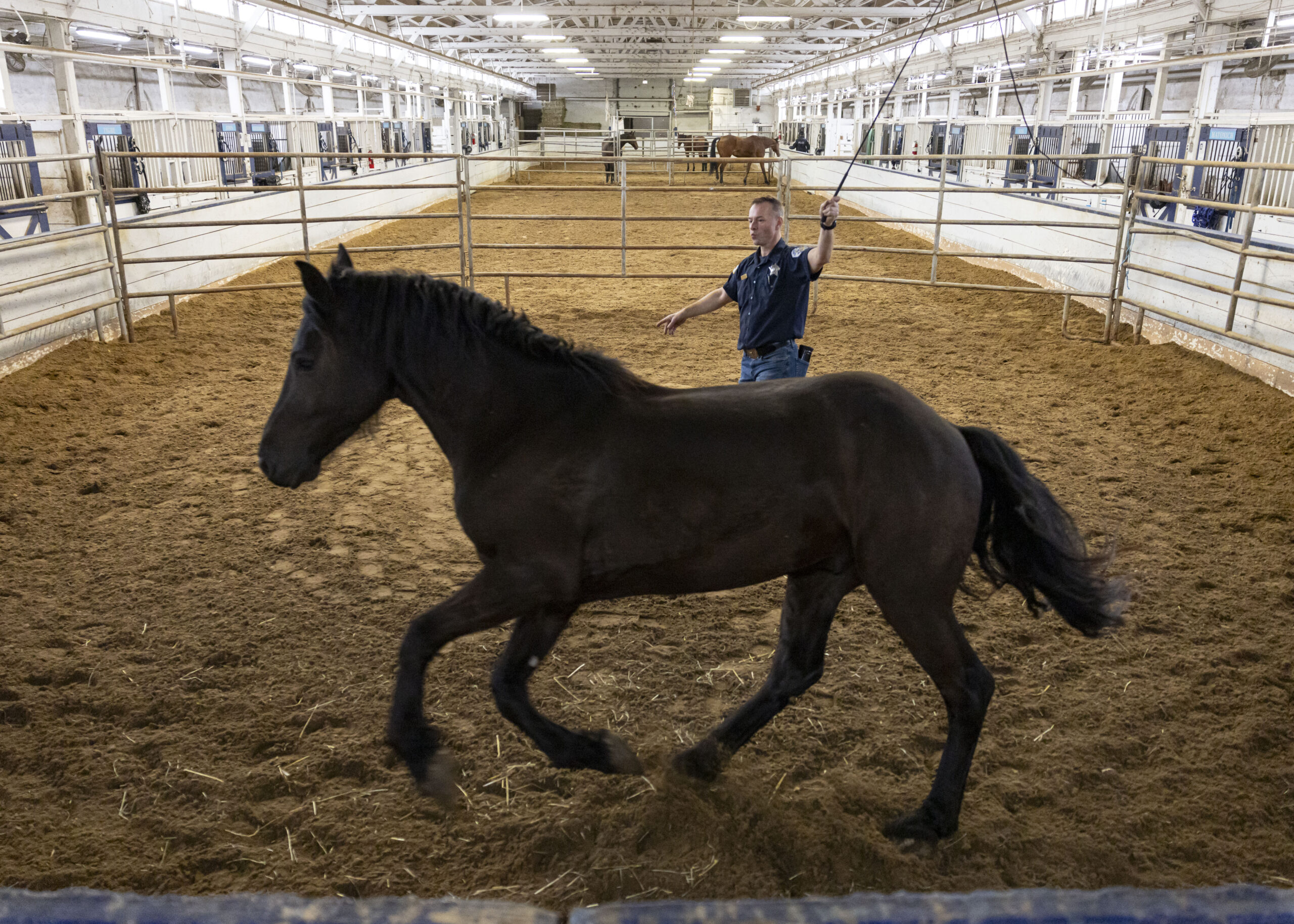 Officer Mariusz Bochenski trains a horse Feb. 6, 2025, in...