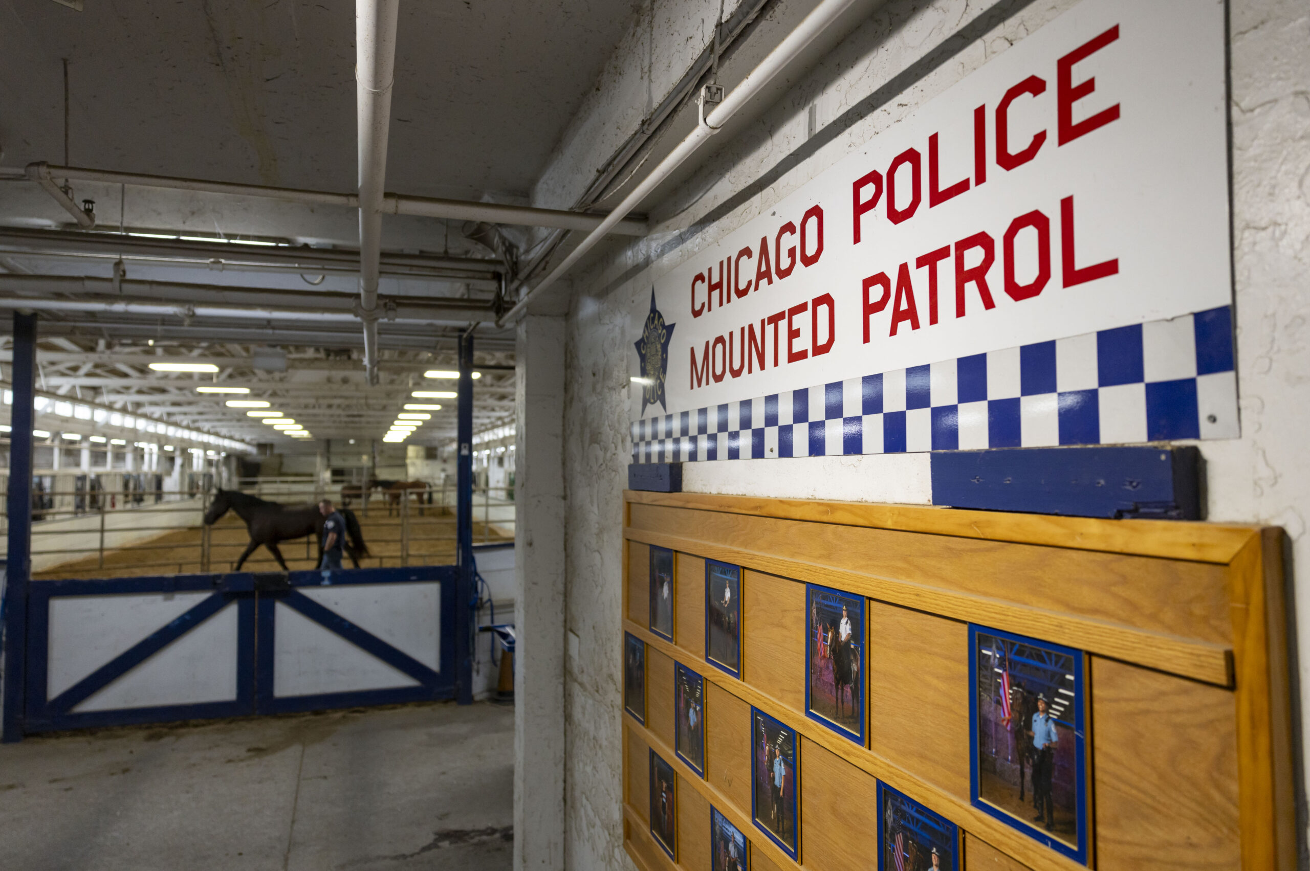 Officers train and care for horses at the Chicago Police...