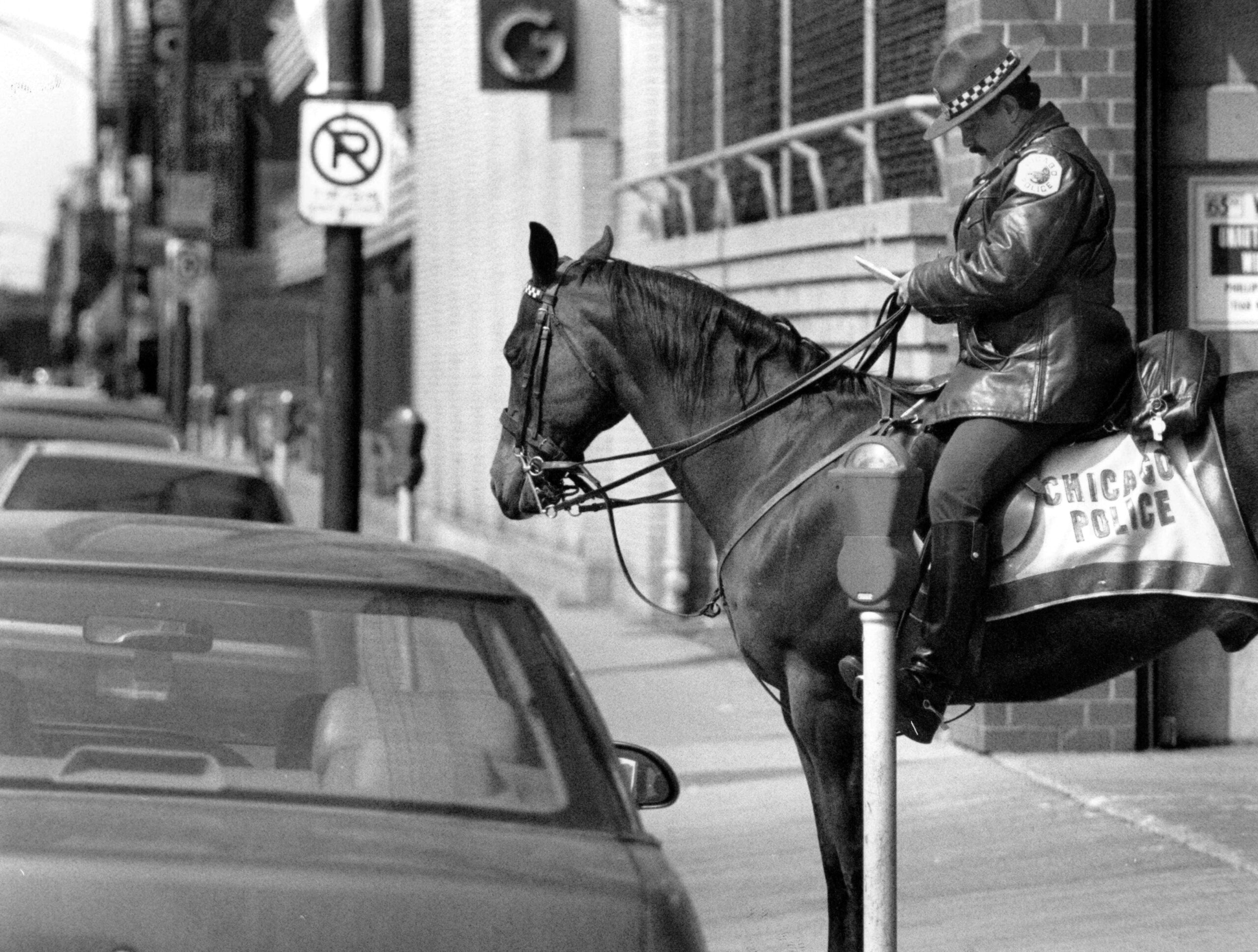 Chicago Police Mounted Unit Officer Jerry Zepeda sits comfortably aboard...