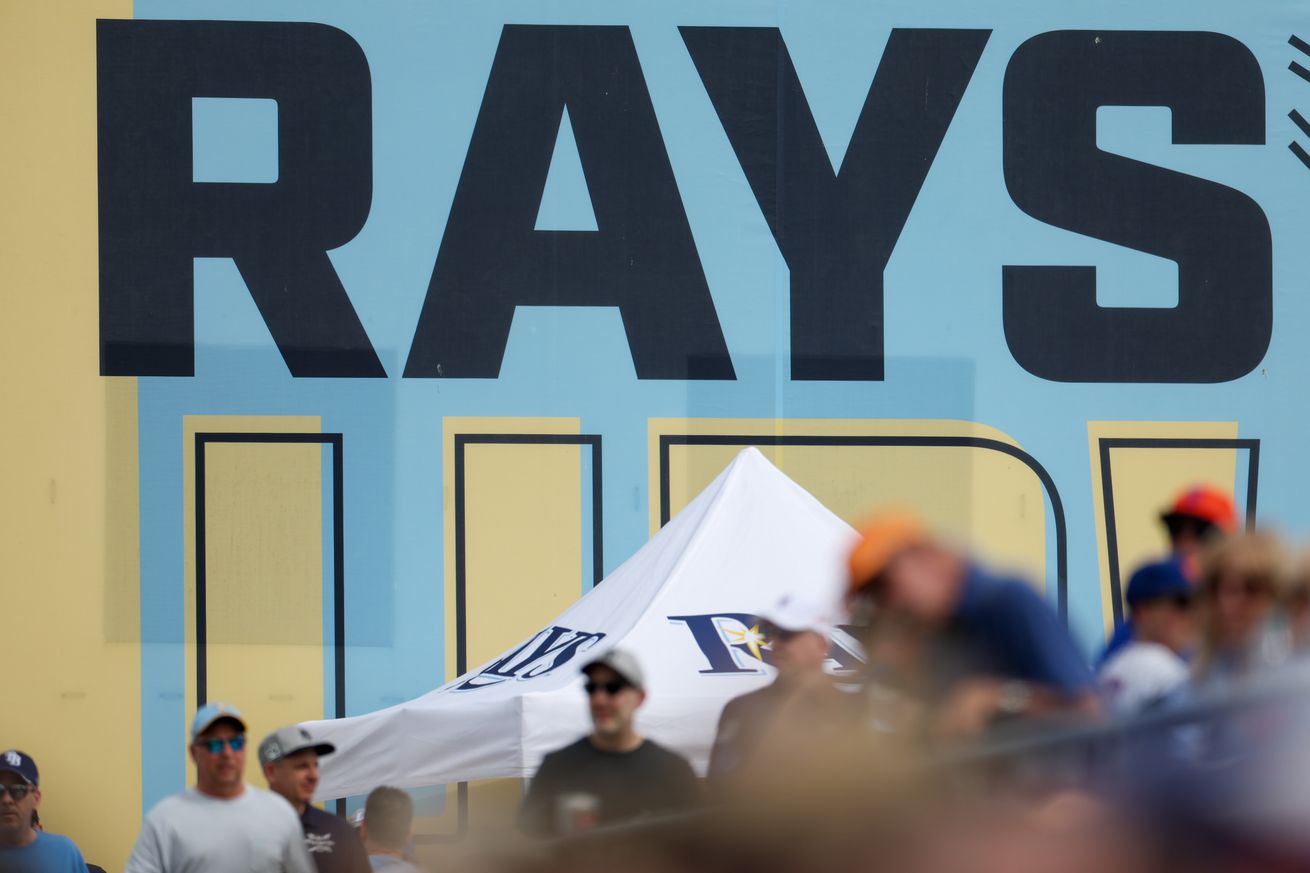 MLB: Spring Training-New York Mets at Tampa Bay Rays